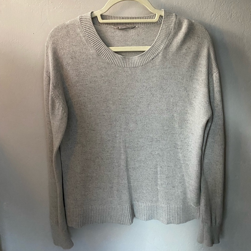 Everlane Cotton Crew Neck Sweater